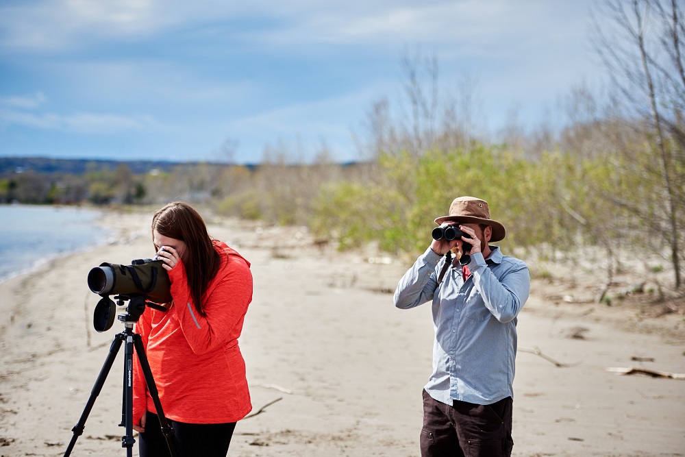 people birding on beach