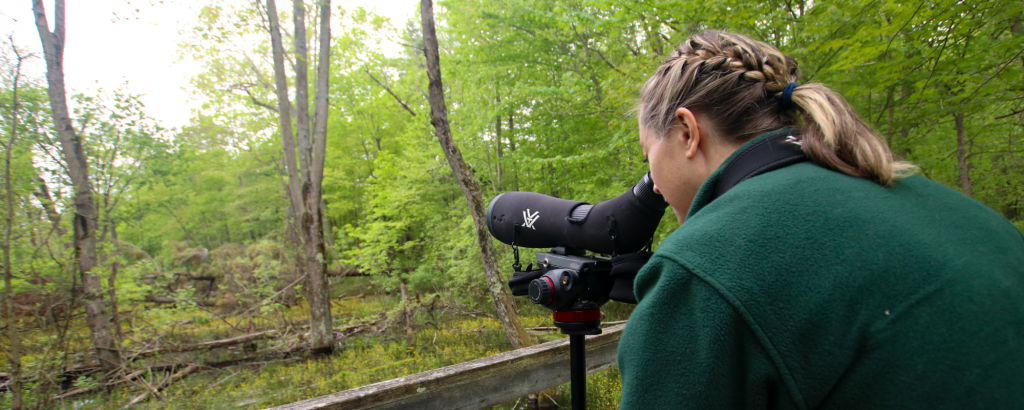 A staff member using a high-powered camera to observe wildlife
