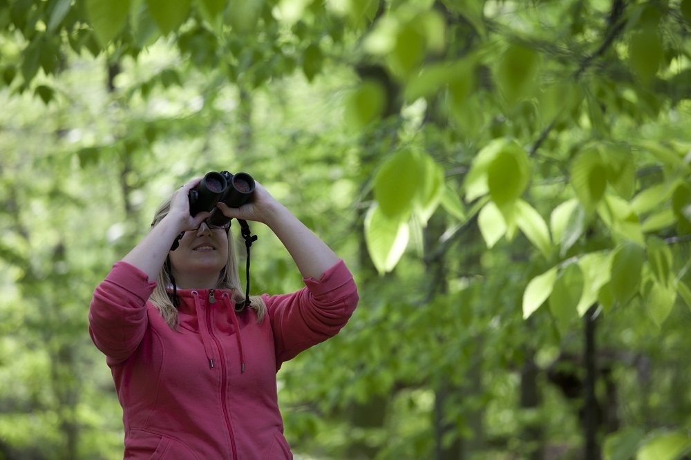 person looking through binoculars