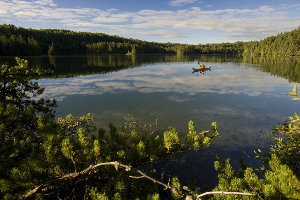 person canoeing on lake surrounded by boreal forest