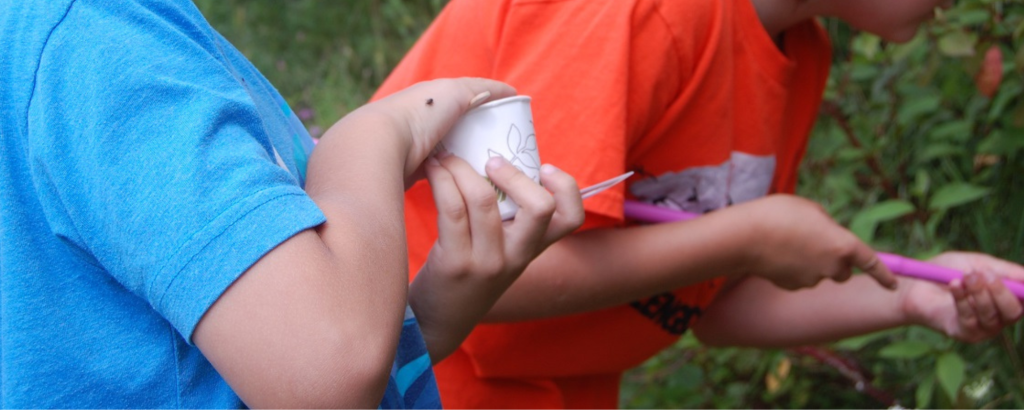 Two boys in bright t shirts, one with a dixie cup and a big on his hand, and one with a pink net probing a shrub