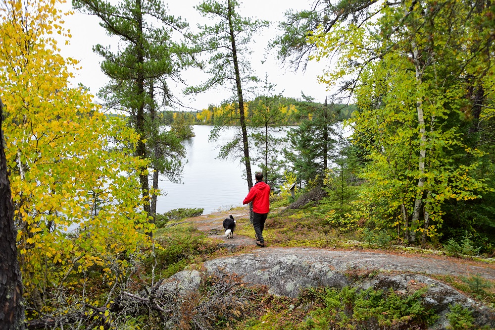 person walking dog through autumn forest