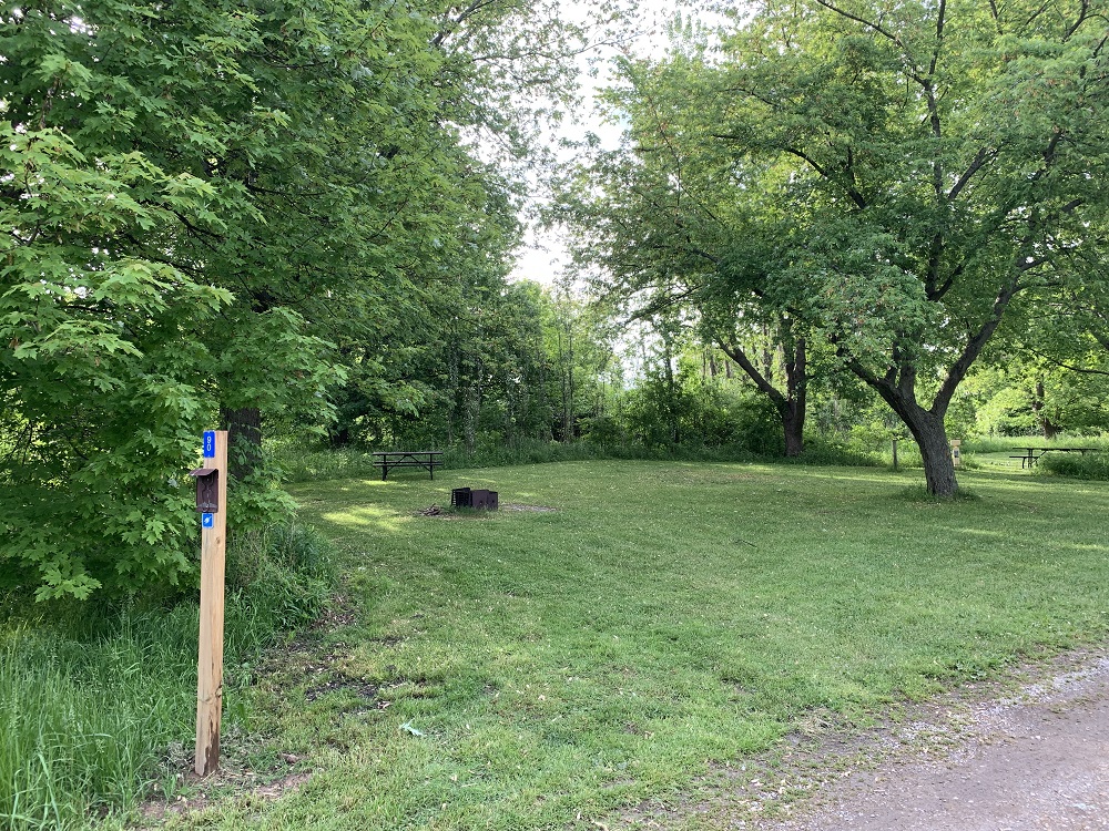 An empty campsite with a fire pit, surrounded by tall trees.