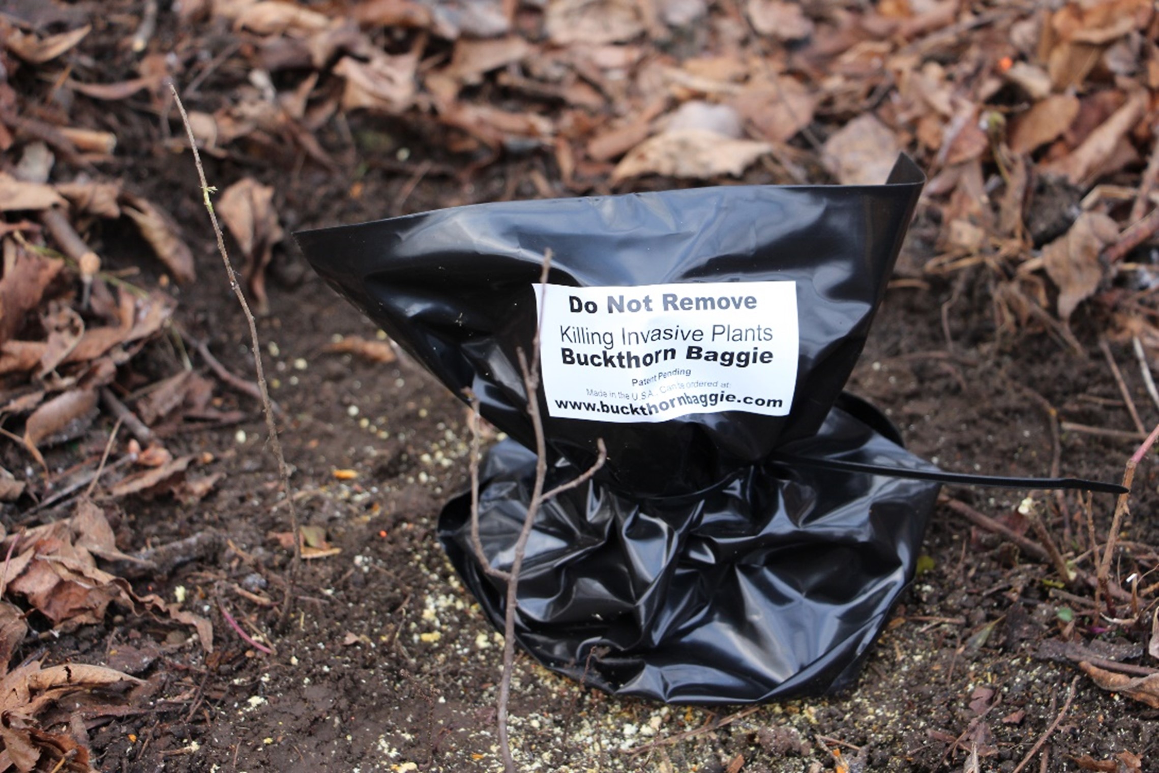 Buckthorn bag