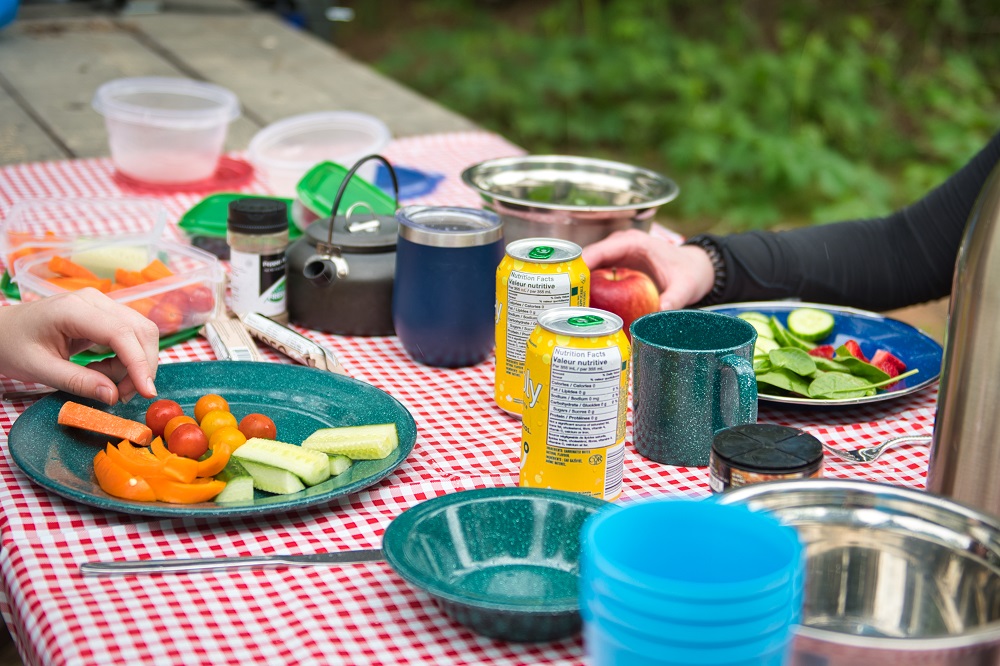 picnic lunch