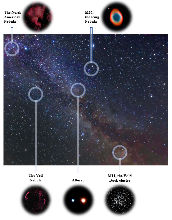 image of starry Milky Way sky, with nebulase labelled