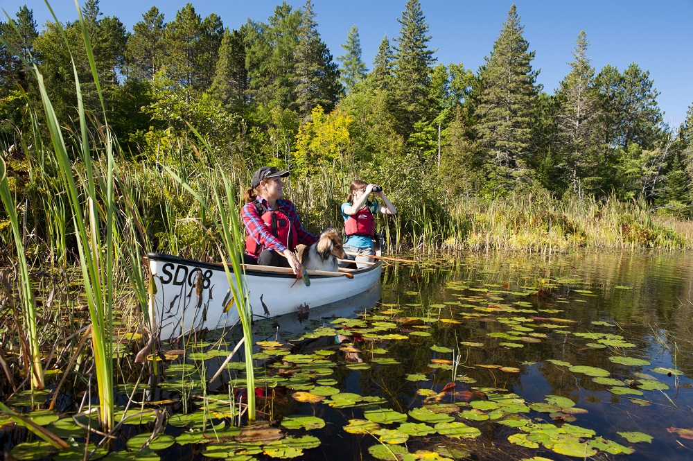 people birding from canoe