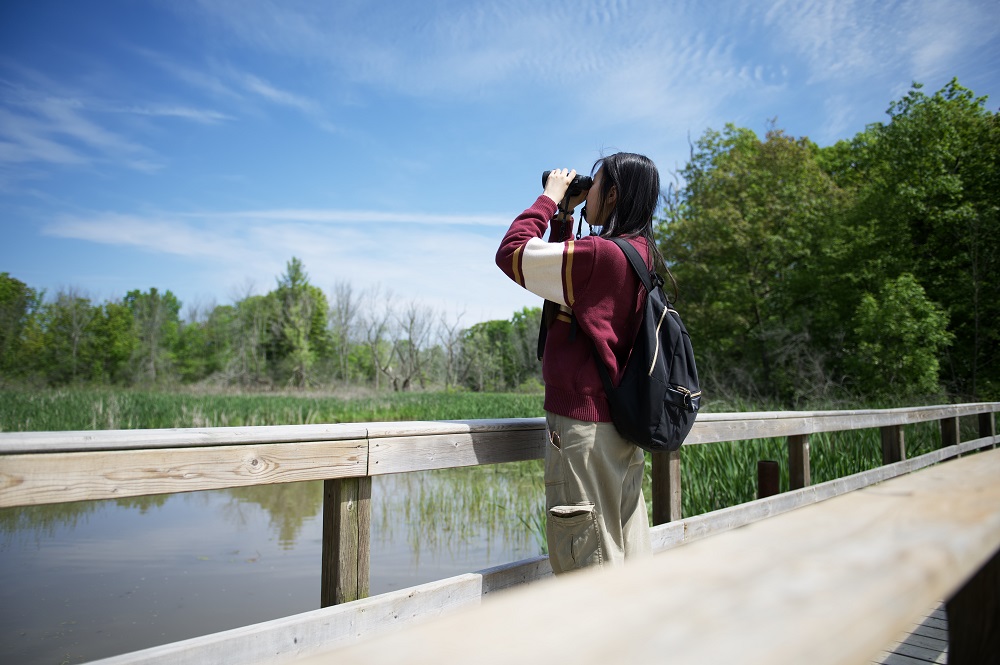 person birdwatching on boardwalk