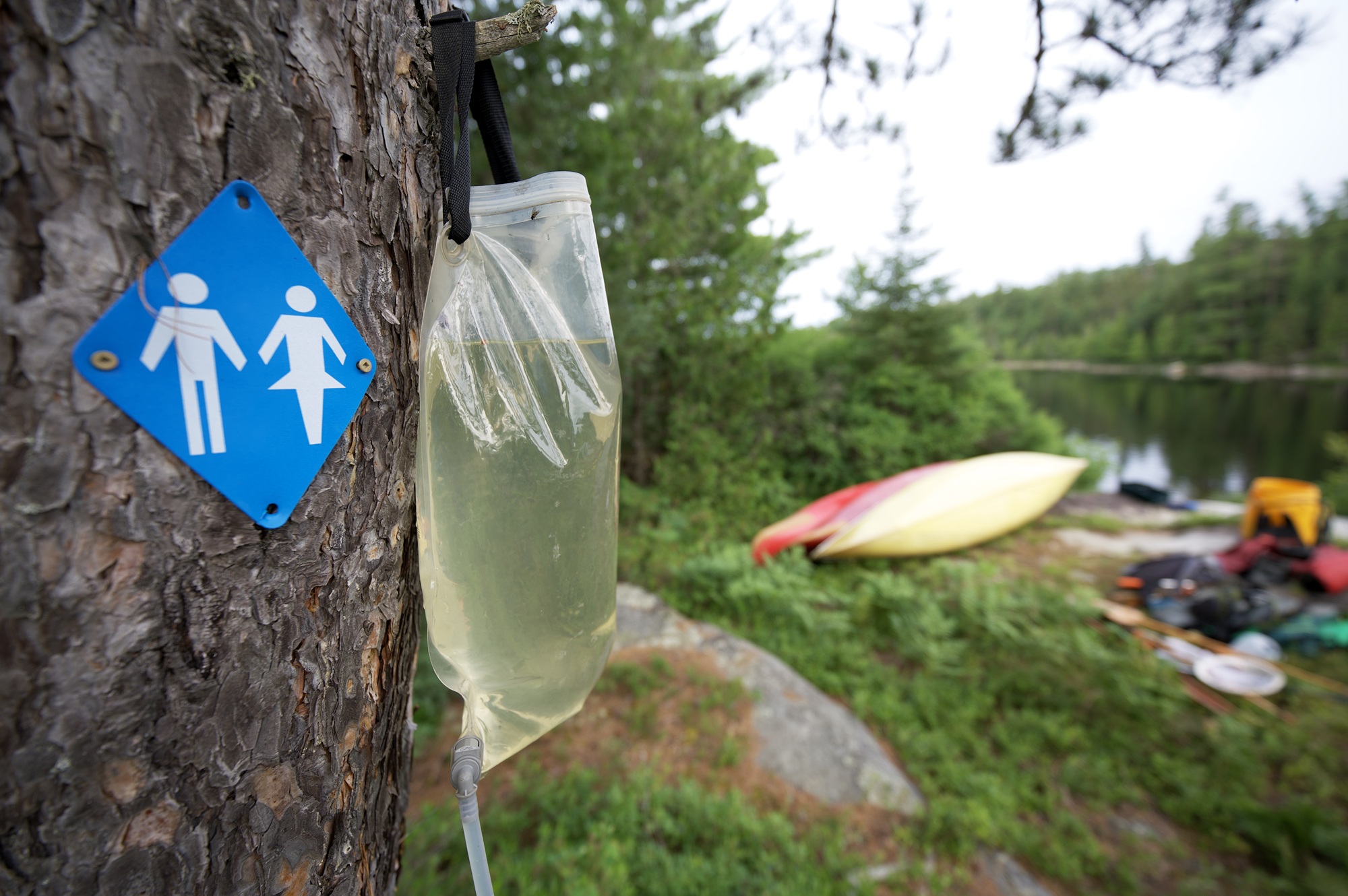 bag of water hanging from tree