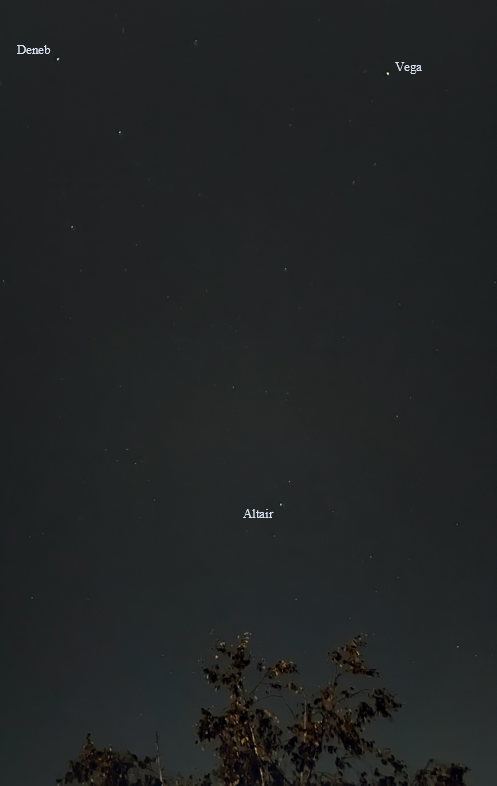 triangle of stars on dull night sky, tree in foreground