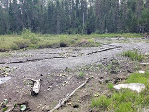 A dry river bed