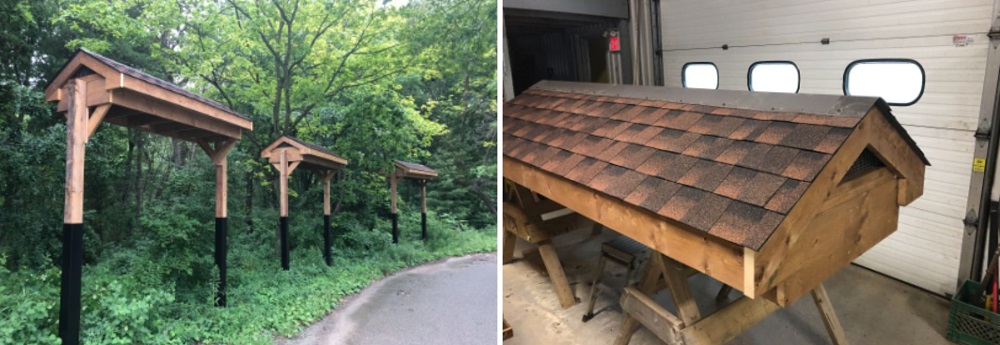 collage of barn swallow structure