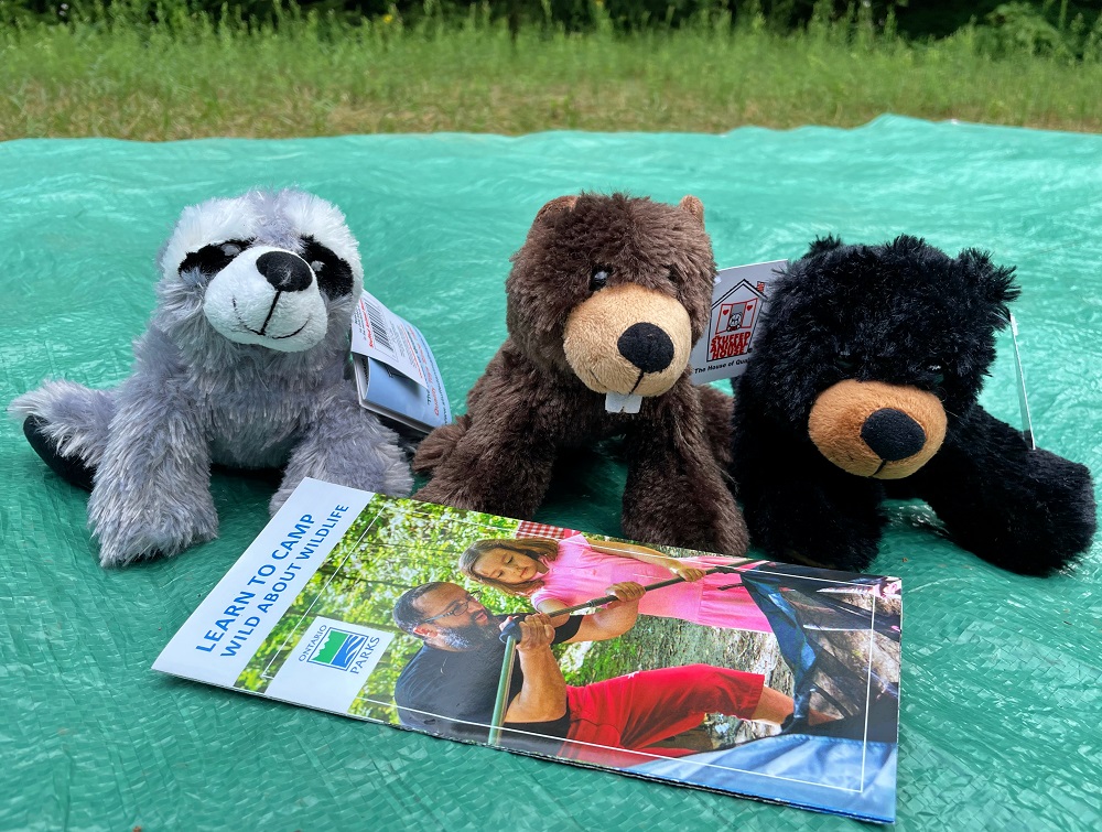 stuffed animals with brochure