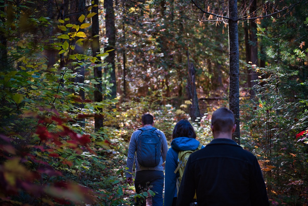 hikers on trail