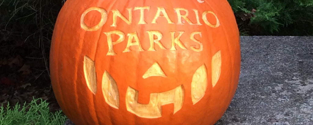 A pumpkin carved to say Ontario Parks, with a jack-o-lantern smiling mouth and triangular nose below.