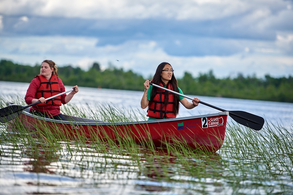 people canoeing on river