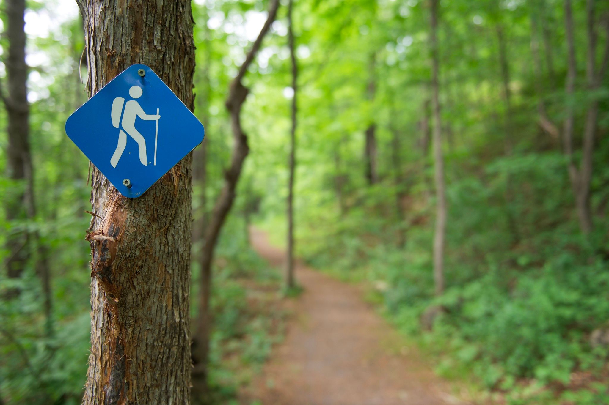 trail sign