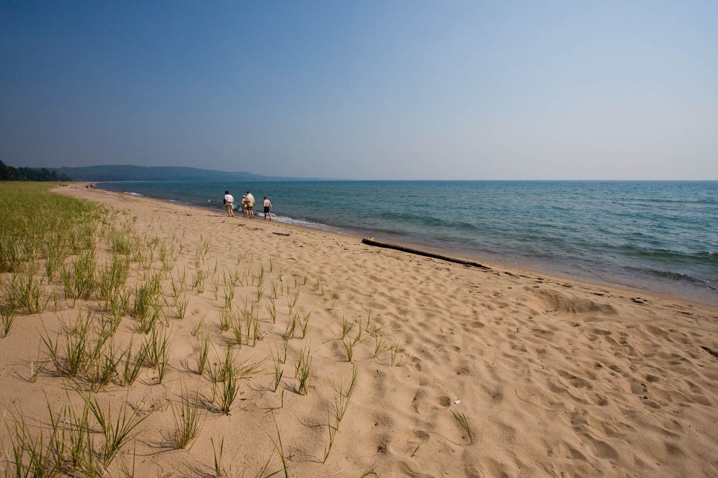 view of beach