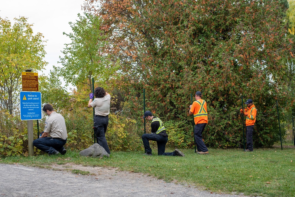 staff building fence