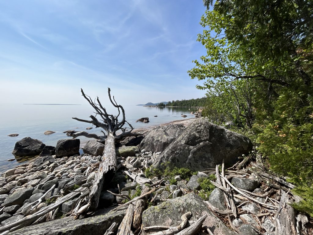 driftwood along rocky shoreline of lake