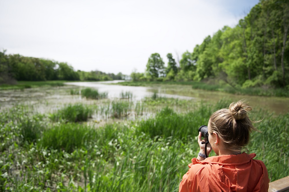 person photographing bog