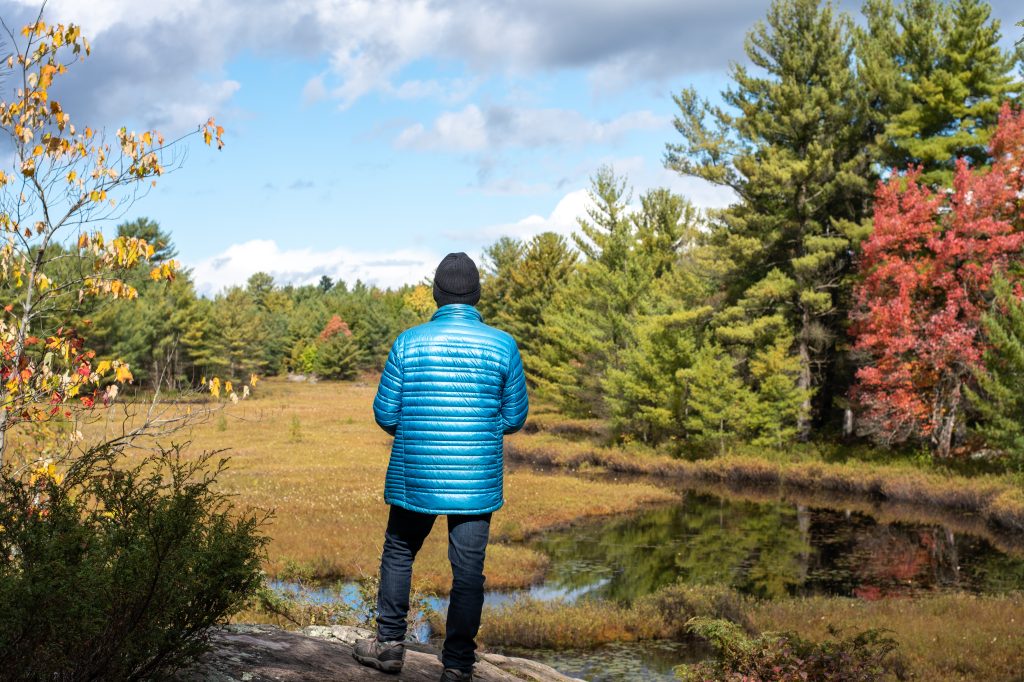 hiker looking out at fall colours around wetland