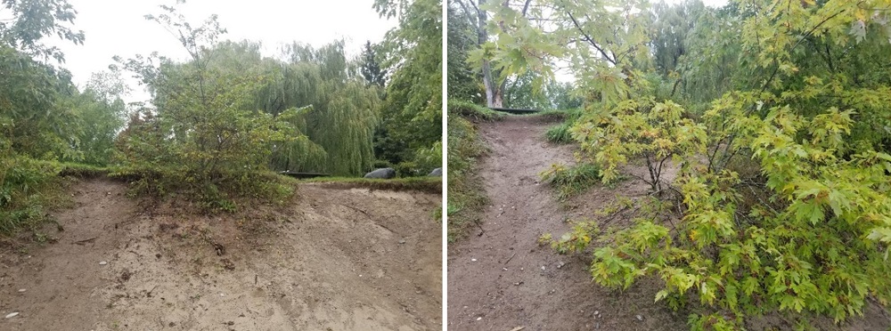 Darlington’s beach bluff/bank erosion