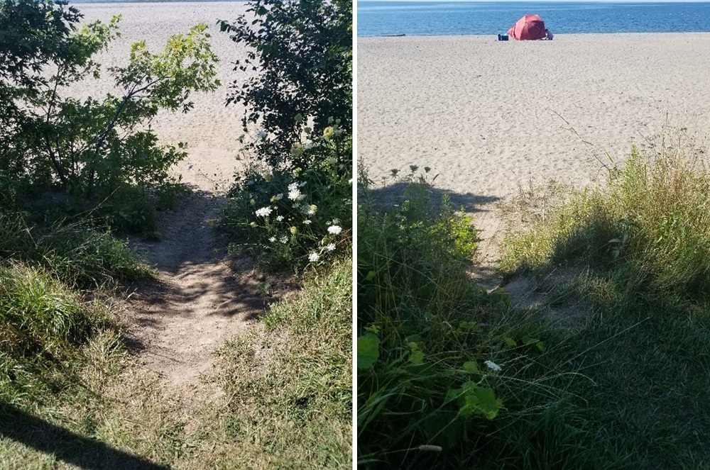 Foot traffic and erosion of Darlington’s beach bluff/bank