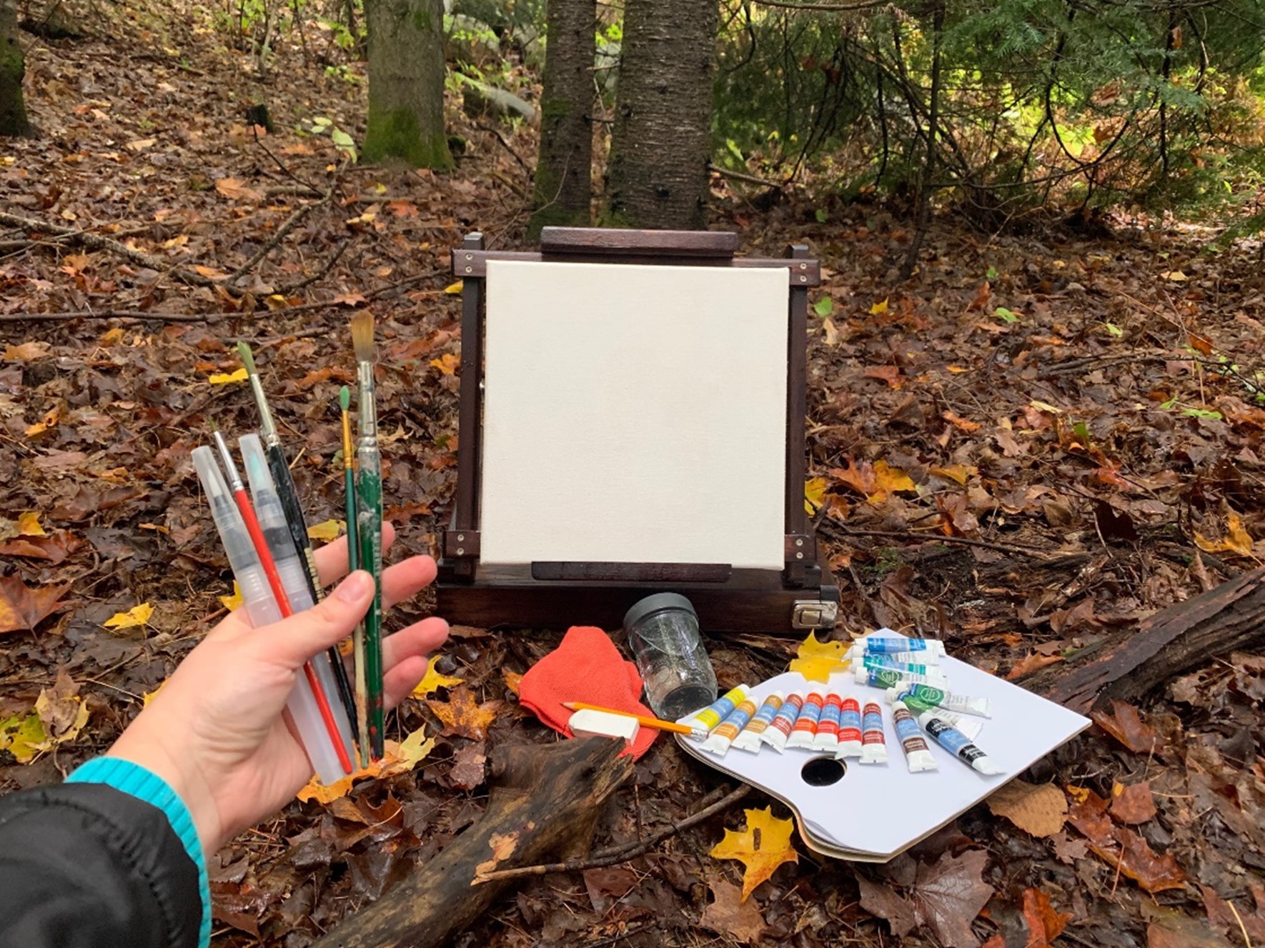 hand holding paint brushes, canvas placed on forest floor