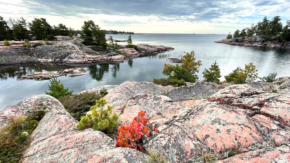 rocky shore