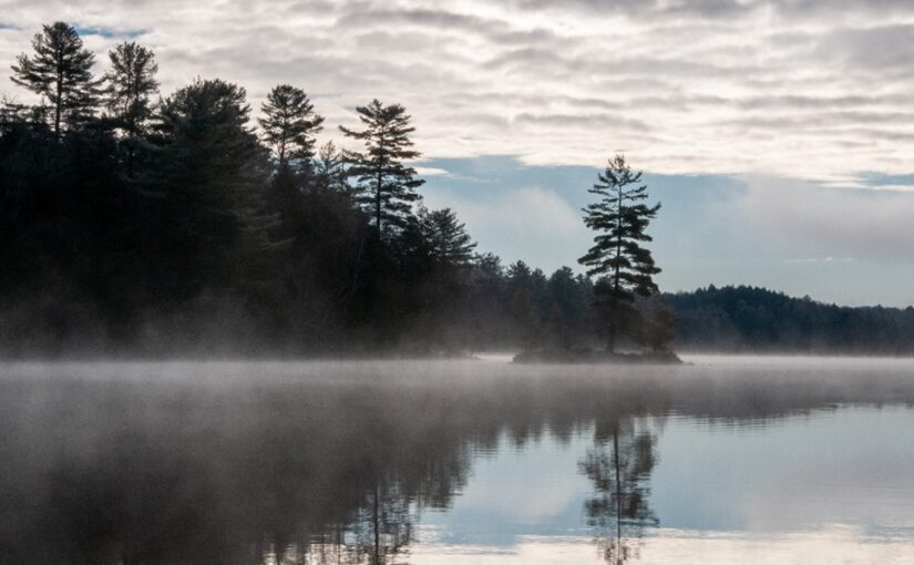 misty lake with silhouette of trees