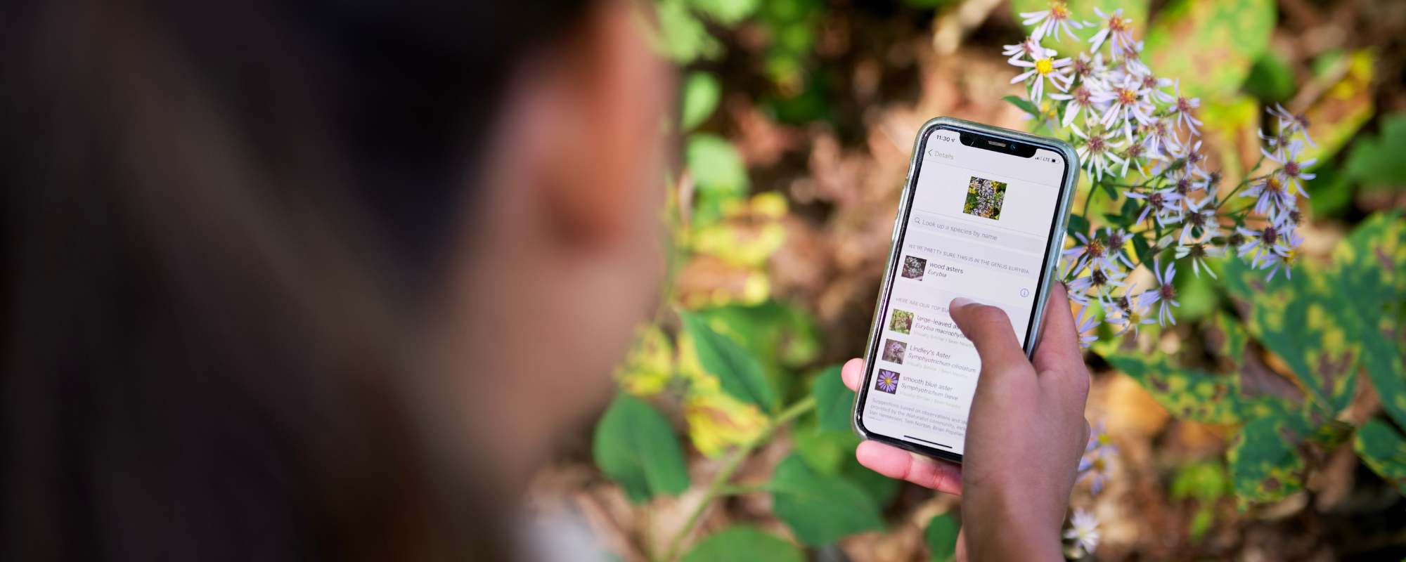 Un employé prenant une photo d’une plante pour l’appli iNaturalist.