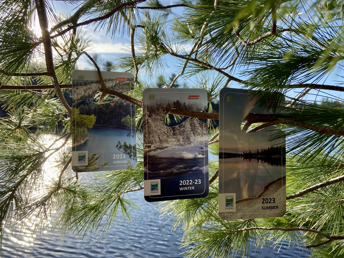 seasonal permits hanging from evergreen branch