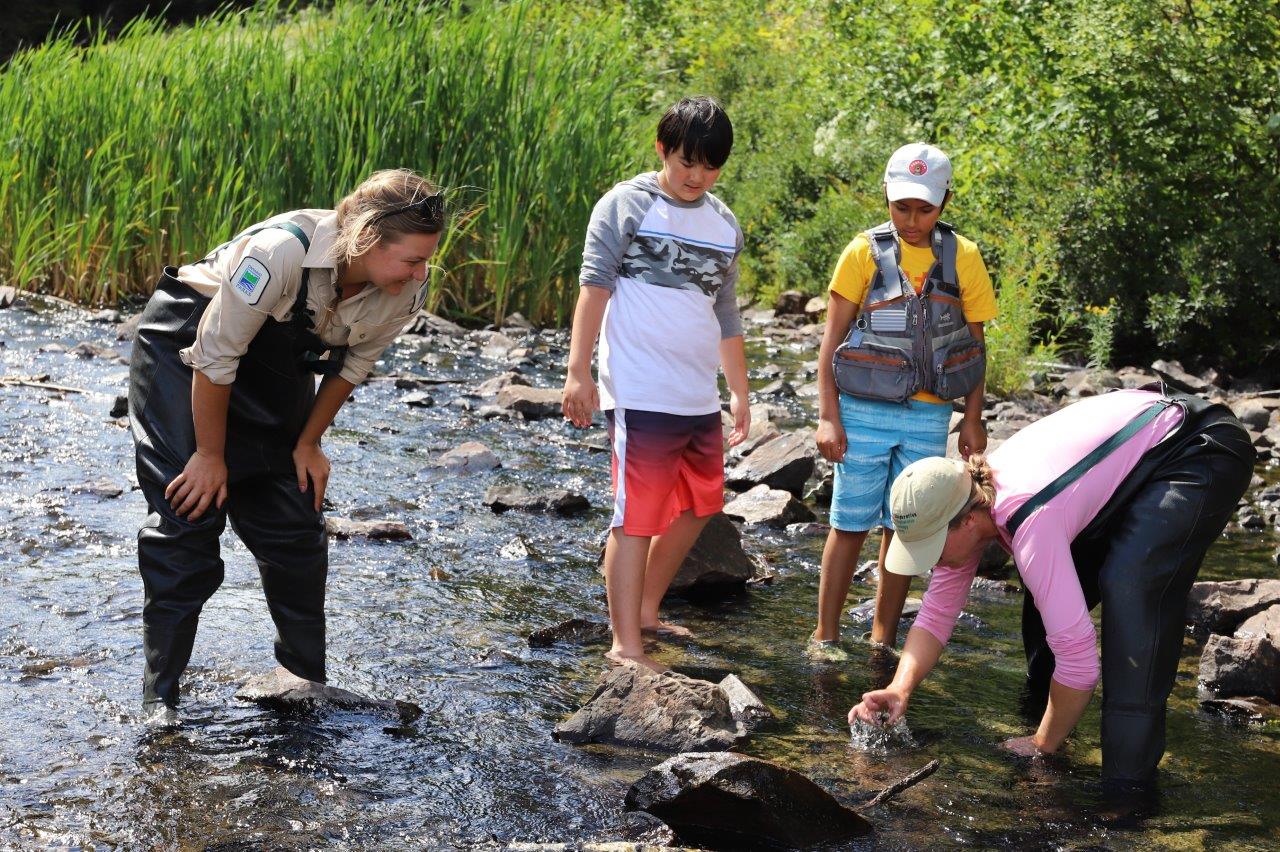 Two Ontario Parks staff standing in a shallow river with children, looking down at the riverbed.