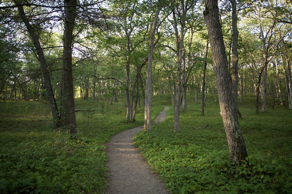 hiking trail