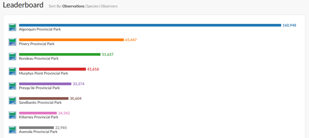 Leaderboard of top park observations: Algonquin, Pinery, Rondeau, Murphys Point, Presqu'ile, Sandbanks, Killarney, Awenda