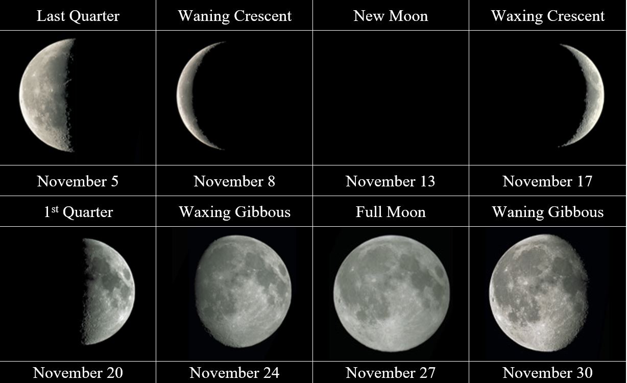 diagram of lunar phases