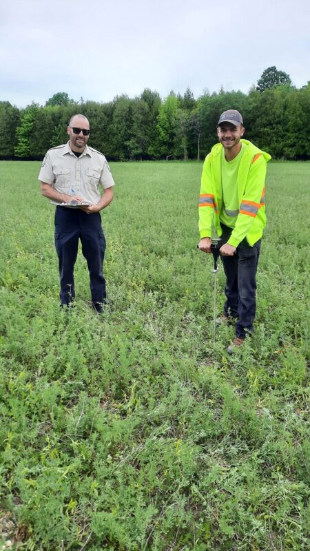 staff at work removing invasive species