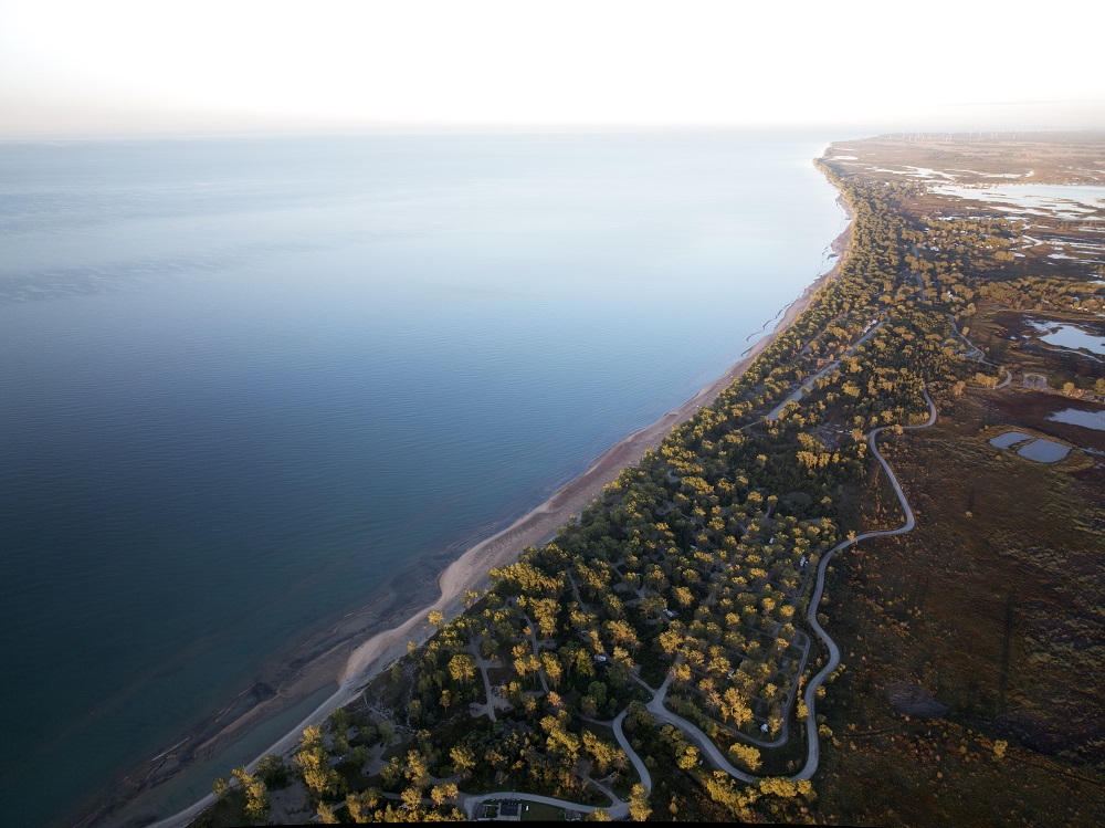 Aerial image of park