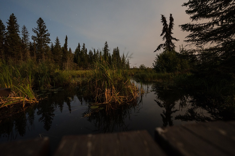 wetland