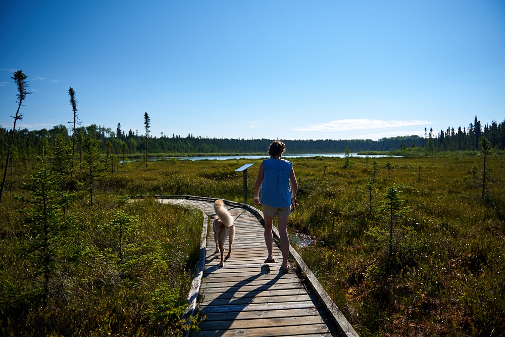 Female with on-leash dog at Fen Lake Trail,