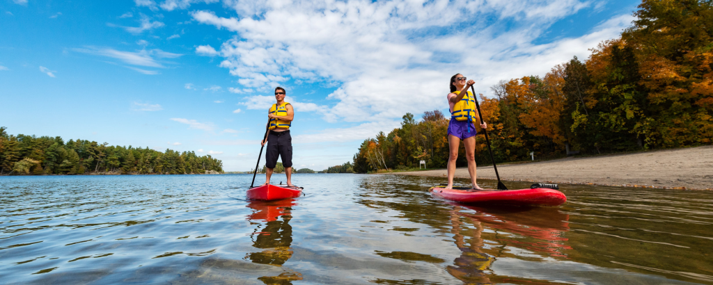 Two people paddleboarding on a lake on a sunny day in the fall