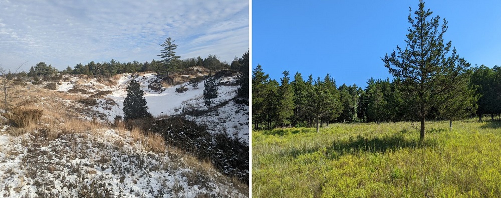 winter landscape and summer landscape