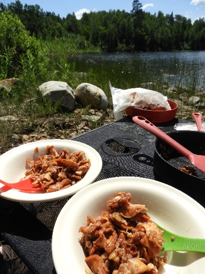 bowls of apple crisp enjoyed on backcountry site