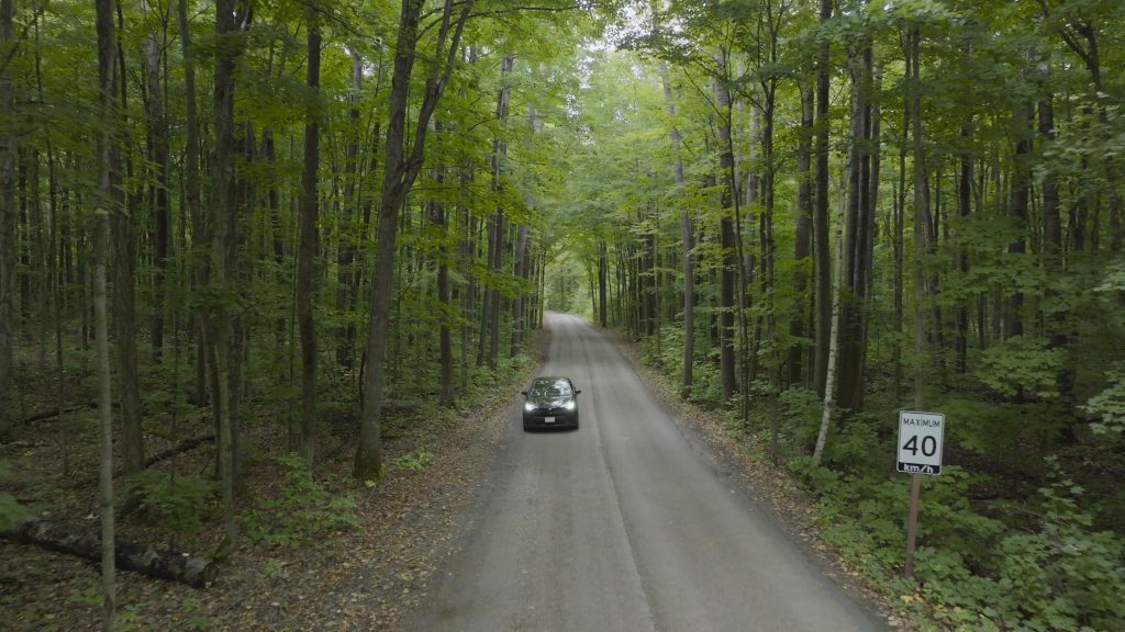 car driving on park road