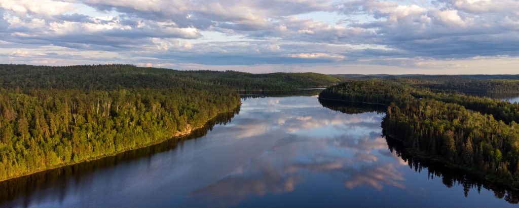 aerial view of lake surrounded by forested shore