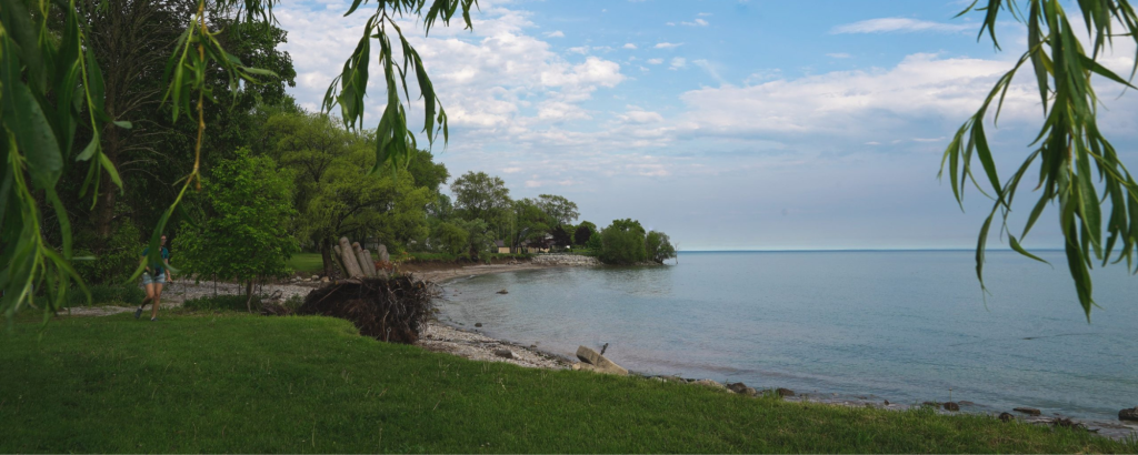 Grassy shoreline of a lake