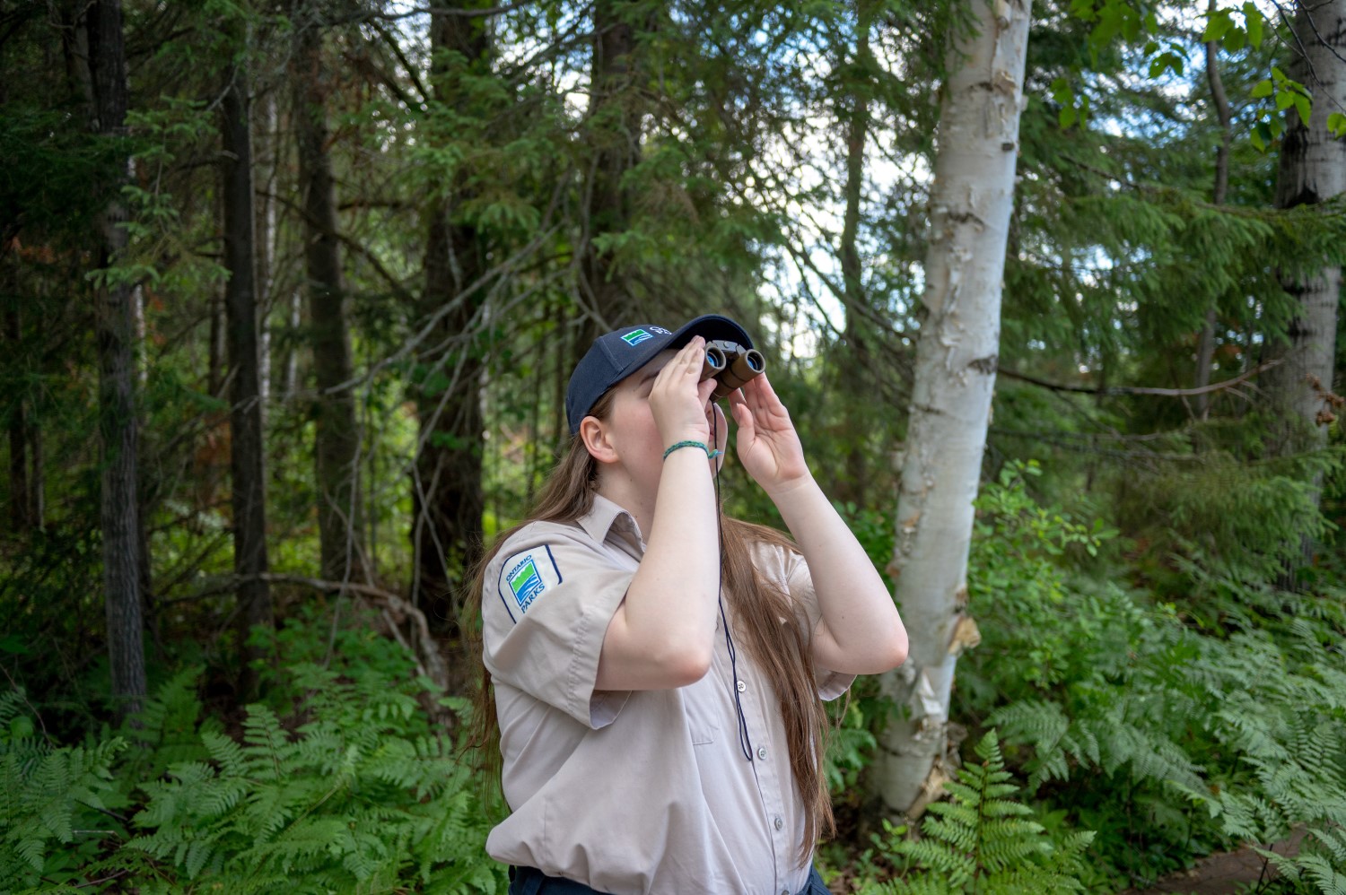 An Ontario Parks employee using binoculars to look for birds in the forest