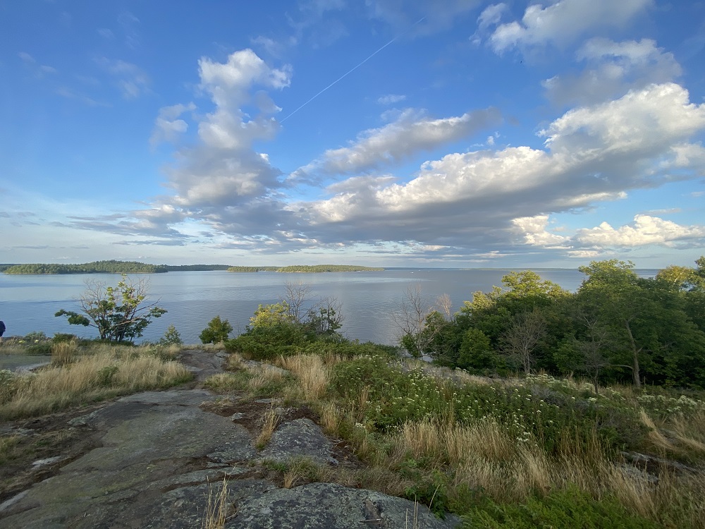 View from Lookout Trail