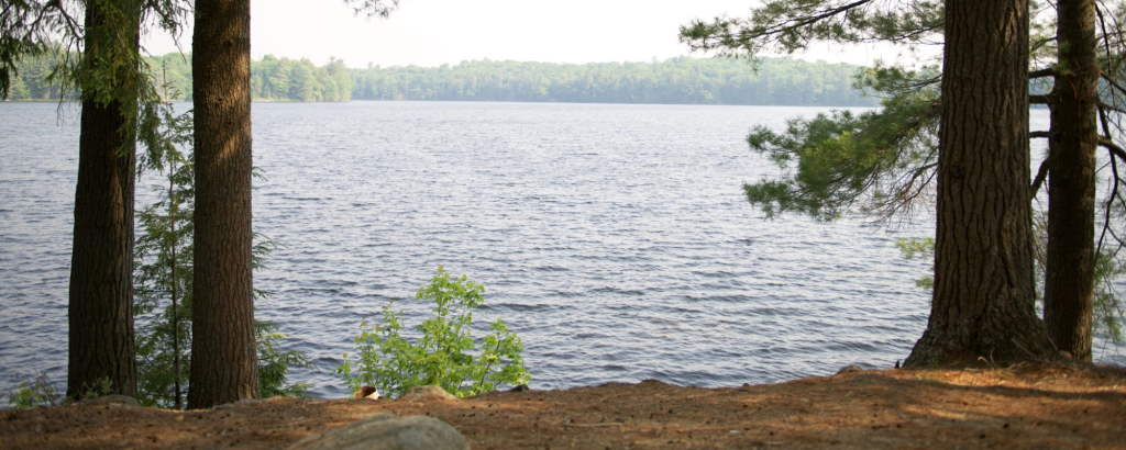 View of calm lake